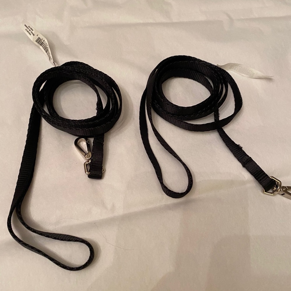 Cat Leash in Black 🐈‍⬛